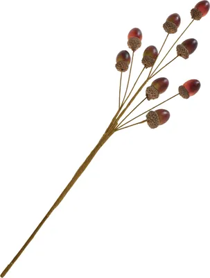 Produktbild von DPI Eichel Zweig 1 Stück 13 cm breit 44 cm lang