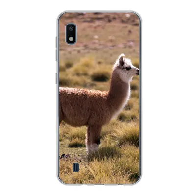 Produktbild von MuchoWow® Handyhülle Schutzhülle Hülle für Samsung Galaxy A10 Alpaka - Braun - Natur Silikon Softcase Handy Hülle - Schutzhülle