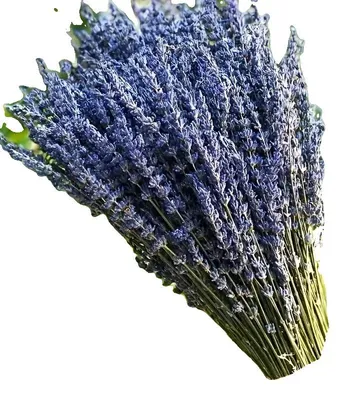 Immagine prodotto di Composizioni floreali essiccate, arredamento per la casa, decorazioni per matrimoni, lavanda