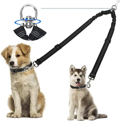 Produktbild von Hundeleine fš¹r zwei Hunde - Knotenfrei, 360¡ã verdrehungsfrei, reflektierend, verstellbar, Doppelleine fš¹r kleine und gro?e Hunde (Gro?)