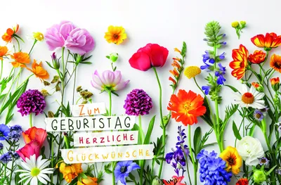 Produktbild von Geburtstag Karte mit Briefumschlag bunte Blumen