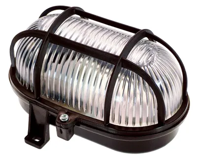 A single oval light fixture with a protective cage, shown against a white background.