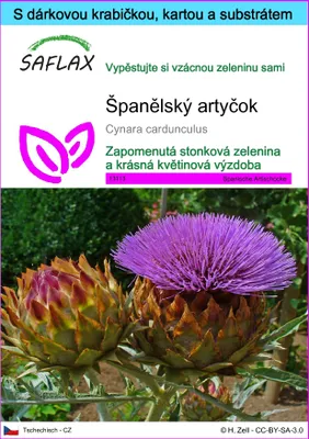 Obrázek produktu pro SAFLAX Dárková sada - Španělský artyčok - Cynara cardunculus - 50 Semena - S dárkovou krabičkou, přepravním štítkem, dárkovou kartou a pěstebním médiem