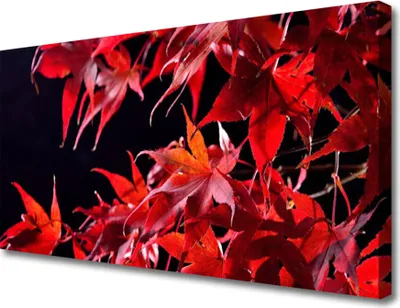 Produktbild von Tulup Leinwand-Bilder 100x50 Wandbild Canvas Kunstdruck Blätter Pflanzen