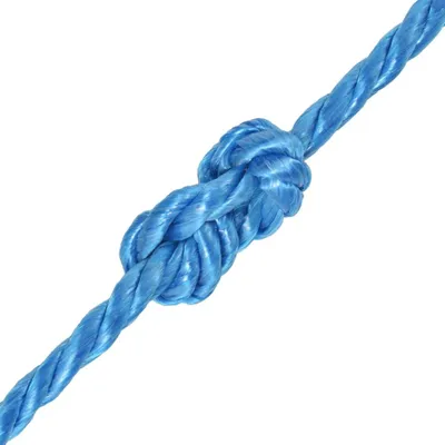Immagine prodotto di Corda Intrecciata in Polipropilene 12 mm 250 m Blu