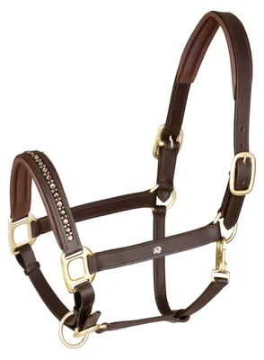 Image de Licol en cuir Waldhausen X-Line Crystal avec strass décoratifs, couleur : marron/doré, taille : VB