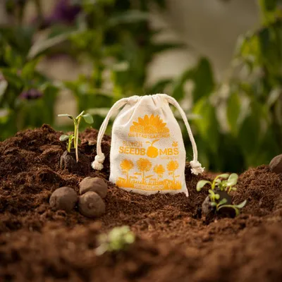 Image de Bombes à graines Tournesols dans un sac en jute – 8 bombes à graines avec des graines de tournesol écologiques – Mélange de variétés annuelles 80–300 cm – Idée cadeau durable