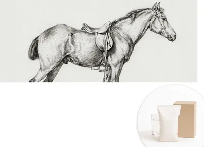 Produktbild von Selbstklebende Fototapete - Wandbilder für Wohnzimmer - 208x146 cm - Dekorative Wandfolie - Modernes Design für Wanddekoration - Tapeten für Innenräume - Skizze eines Pferdes