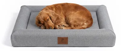 Produktbild von Peluvio Kibi Orthopädisches Hundebett Flach Ohne Rand rutschfest