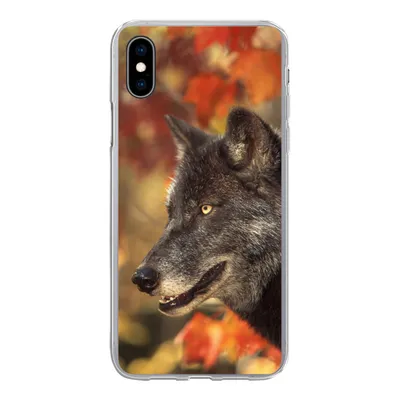 Produktbild von MuchoWow® Handyhülle Schutzhülle Hülle für iPhone Xs Wolf - Nahaufnahme - Blätter Silikon Softcase Handy Hülle - Handytasche