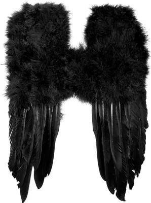 Produktbild von Kostüm Feder Flügel schwarz - Fasching Karneval