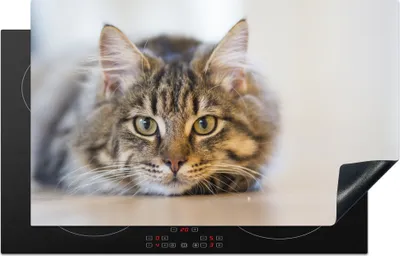Produktbild von KitchenYeah© Herdabdeckplatte Katze - Fell - Augen , 85x52cm, Küche Deko, Glaskeramikkochfeld Herdabdeckung, Abdeckplatte fùr Kochfeld