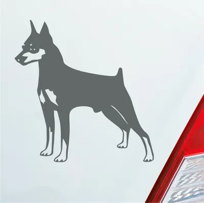 Produktbild von Auto Aufkleber Zwergpinscher Hund Dog Animal 10x10 cm Grau Sticker Heckscheibenaufkleber