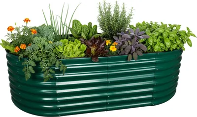 Obrázek produktu pro Zvýšený záhon Relaxdays, pozinkovaný kov, květiny, rostliny a zelenina, VxŠxH: 60 x 200 x 100 cm, oválný záhon, zelený