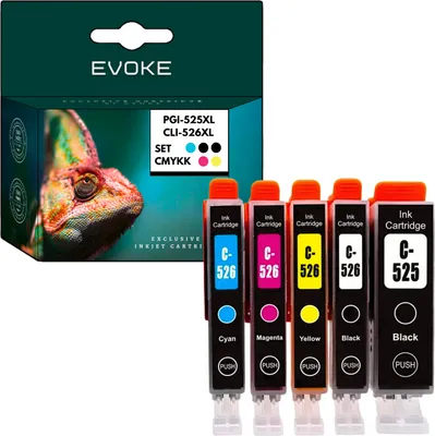 A box of EVOKE brand ink cartridges with a chameleon image on the box, and five ink cartridges displayed in front of the box.