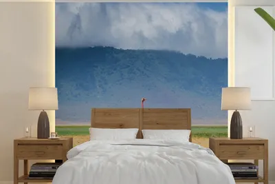 Produktbild von MuchoWow® Fototapete für Wohnzimmer oder Schlafzimmer Wandtapete Vinyl Motivtapete Strauß inmitten der Savanne des Ngorongoro-Kraters in Tansania - 240x240 cm - Schlafzimmer-Tapete