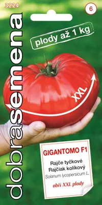 Obrázok produktu pre Rajčiak kol. Gigantomo F1 XXL DS 3224