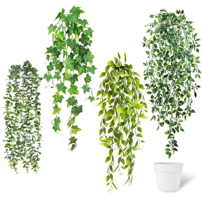 Image de 4 plantes suspendues artificielles, d'aspect réaliste, avec pot blanc, lierre en plastique, plantes suspendues artificielles, 52–72 cm, plante suspendue artificielle, plante verte, plantes en plastique, décoration