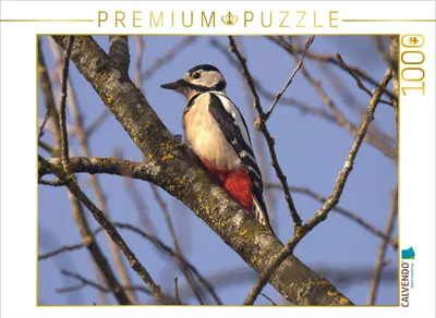 Produktbild von CALVENDO Puzzle Buntspecht | 1000 Teile Lege-Größe 64x48cm Foto-Puzzle für glückliche Stunden