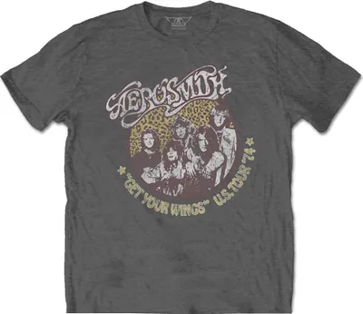 Produktbild von Aerosmith - T-Shirt für Herren/Damen Uni RO6734 (M) (Anthrazit)
