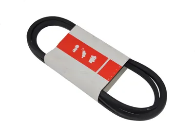 Cinghia Trasmissione Esagonale Trattorino AL-KO - Foto 11