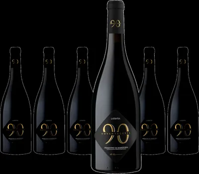Produktbild von 6 x Novantaceppi Primitivo Di Manduria