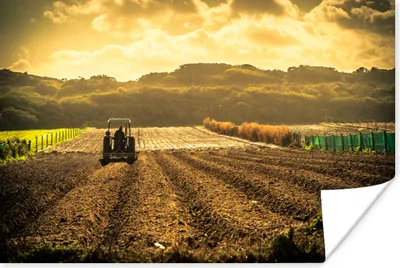 Produktbild von MuchoWow® Poster Traktor - Bauernhof - Berg 120x80 cm - Bilder
