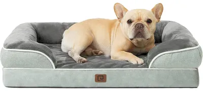 Image de Lit orthopédique pour chien, 76x51 cm, en mousse à mémoire de forme, avec un bord surélevé, lavable, imperméable, antidérapant, de couleur gris-vert