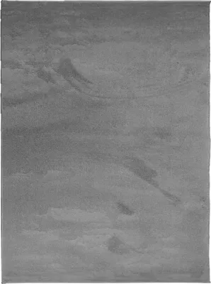 Produktbild von vidaXL Teppich OVIEDO Kurzflor Anthrazit 240x340 cm