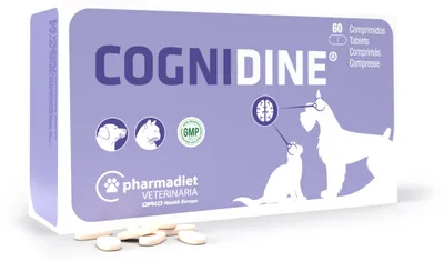 Obrázok produktu pre Cognidine 60tbl.