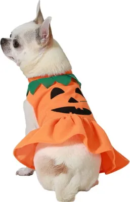 Immagine prodotto di Costume da cane da zucca taglia M