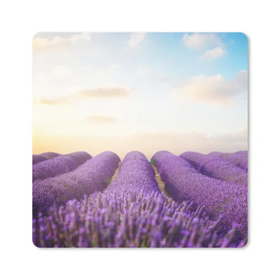 Produktbild von MuchoWow® Mauspad Mousepad Lavendel - Himmel - Wolken - Blumen 20x20 cm - Mousepads - Maus Mat - Pad - Mausunterlage - Desk Mat - Bureauartikeln