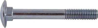 Productafbeelding van SCHROEF (DIN603 M10X80, verzinkt) - 8 stuks