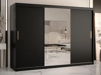 Obrázok produktu pre Šatníková skriňa 250 cm so zrkadlom LONZO 2 - čierna