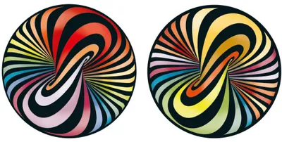 Produktbild von CURIOSI Doppelseitiges Holzpuzzle Double: Lolly 88 dlks