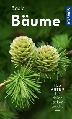 Image de BASIC Bäume