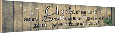 Produktbild von vianmo Holzschild 10x46 cm Unkraut an Selbstpflücker Spruch Zitat