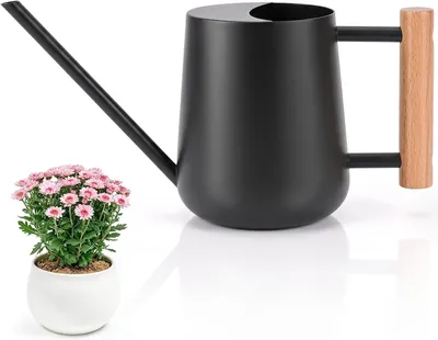 Imagen del producto de Regadera de 1 litro, color verde, para plantas de interior, flores, suculentas, apta para uso en interiores y exteriores