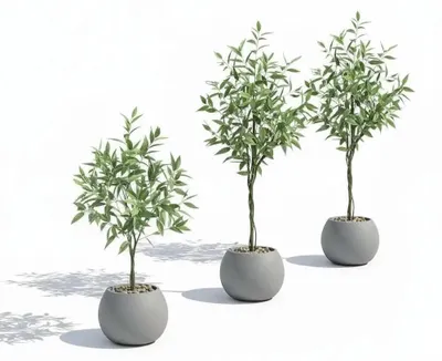 Image de Arbre d'eucalyptus artificiel - Plante décorative en pot - Feuilles en soie synthétique réalistes en polyester - Pour intérieur - Maison et bureau - Vert
