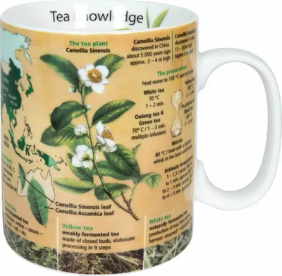 Obrázek produktu pro Könitz Mug Knowledge Mug Čaj, šálek, hrnek na kávu, porcelán, barevný, anglický, 490 ml, 11 1 330 2654