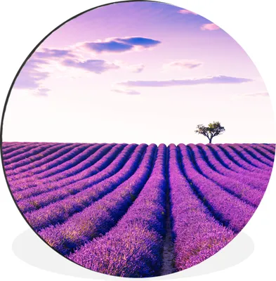 Produktbild von MuchoWow® Aluminium Wandkreis Lavendel - Bäume - Lila - Blumen Ø 60 cm Wanddeko Modern Wohnzimmer - Wand Kreis - Wandbild - Schlafzimmer - Aluminium Bild - Kinderzimmer - Wohnzimmer Dekoration - Wandschmuck