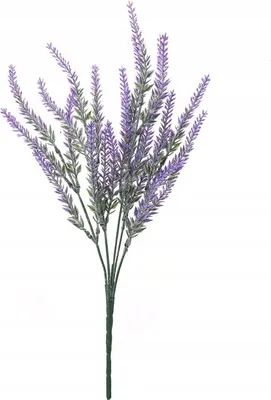 Produktbild von KÜNSTLICHE PFLANZE LEAVENDA 1 Stück DEKORATION bis zu 36cm SCHÖNER FRÜHLING