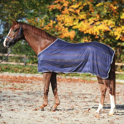 Immagine prodotto di Tappeto Kavalkade fly Stripe