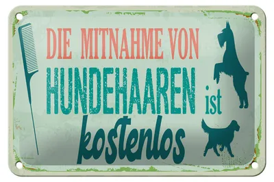 Produktbild von Blechschild Spruch 12x18 cm Mitnahme Hundehaaren ist  Schild