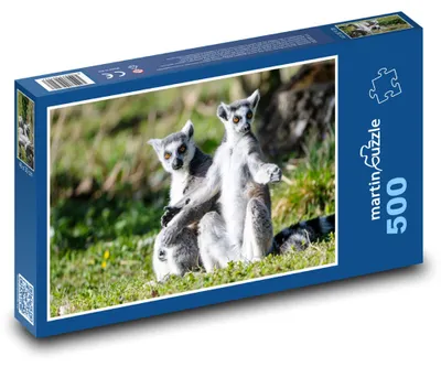 Obrázek produktu pro Puzzle 500 Lemuři v trávě - martinpuzzle