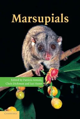 Produktbild von Marsupials