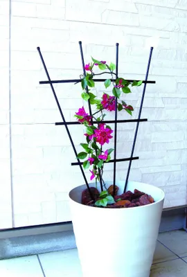 Produktbild von TrendLine Rankgitter 90 cm PE schwarz