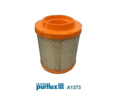 Image de 1 filtre à air PURFLUX A1373 pour CHRYSLER AC