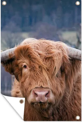 Produktbild von MuchoWow® 40x60 cm Outdoor-Poster Gartendeko Sichtschutz Garten Poster für den Garten  Schottischer Highlander - Hörner - Berg