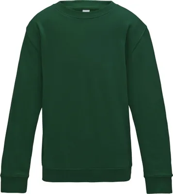 Image de AWDis Just Hoods Sweatshirt pour enfants PC3797 (7-8 ans (128)) (Vert)